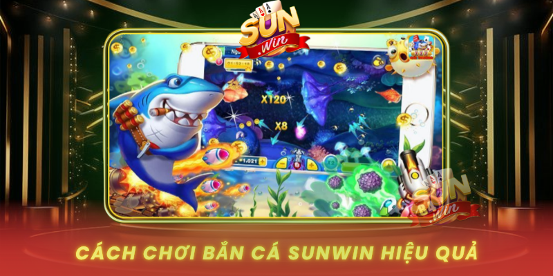 Cach Choi Ban Ca Sunwin Hieu Qua